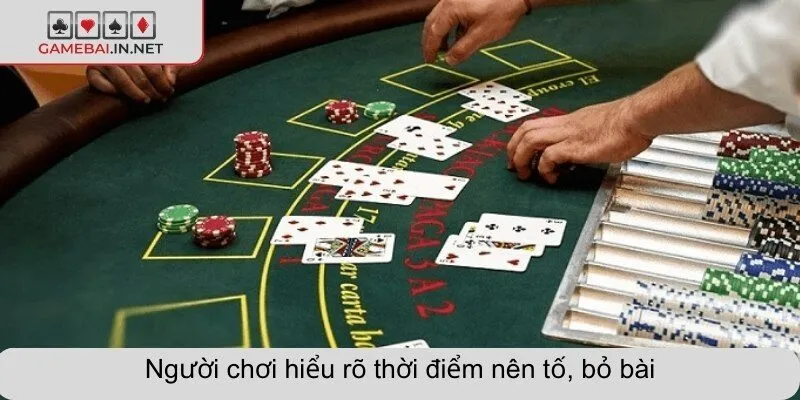 Người chơi hiểu rõ thời điểm nên tố, bỏ bài