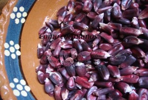 Cómo cocinamos... Burrito de maíz rojo